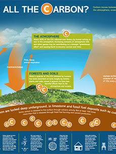 Where's all the Carbon? - Oregonforests 2023