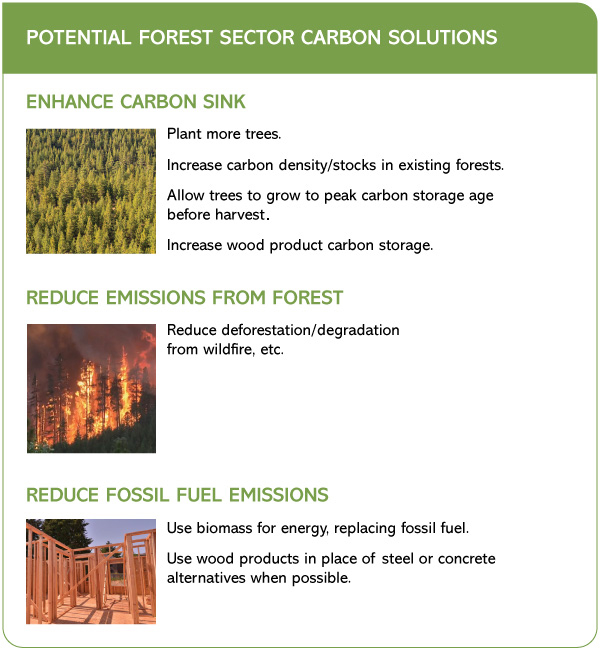Potential Carbon Solutions