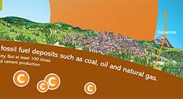 Carbon Cycle Poster