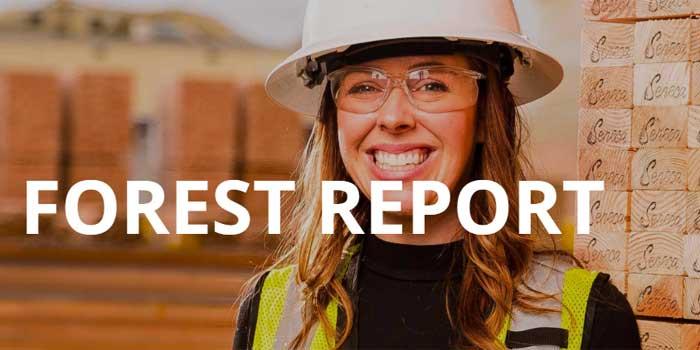 Woman on front cover of Forest Report. 