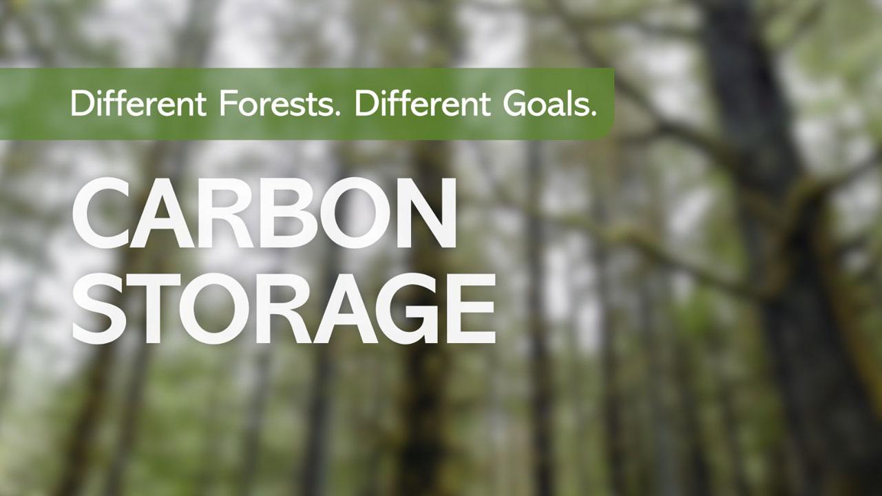 Different Forests. Different Goals: Carbon Storage - Oregonforests 2023