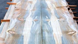 Blue stain pine boards